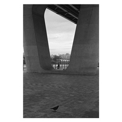dailyPhoto15