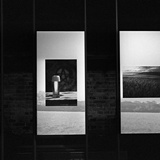 dailyPhoto26