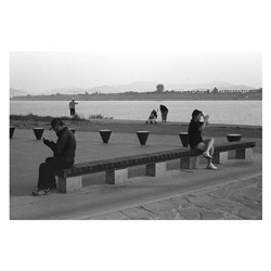 dailyPhoto8