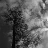 dailyPhoto25