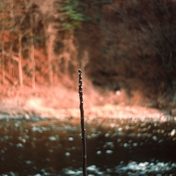 dailyPhoto33