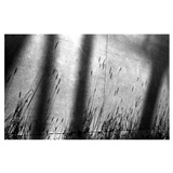 dailyPhoto3