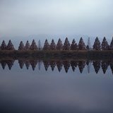 dailyPhoto13