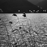 dailyPhoto4