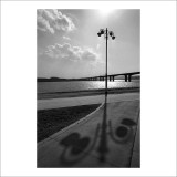 dailyPhoto4