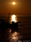 dailyPhoto36