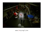 dailyPhoto1