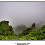 dailyPhoto34