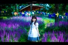 dailyPhoto20