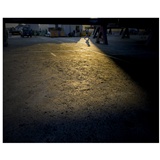 dailyPhoto36