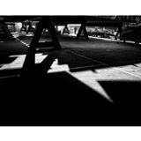 dailyPhoto20