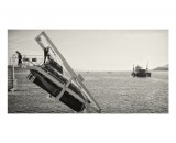 dailyPhoto1