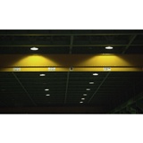 dailyPhoto10