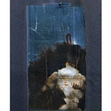 dailyPhoto8