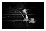 dailyPhoto36