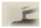 dailyPhoto31