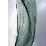 dailyPhoto26
