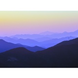 dailyPhoto13