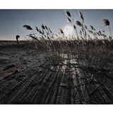 dailyPhoto10