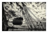 dailyPhoto15