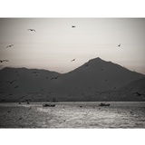 dailyPhoto8
