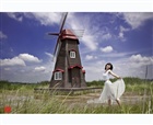 dailyPhoto8