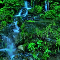 dailyPhoto6