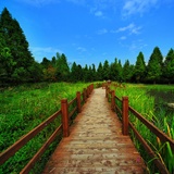 dailyPhoto15