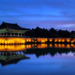 dailyPhoto9