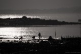 dailyPhoto13