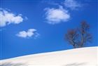dailyPhoto6