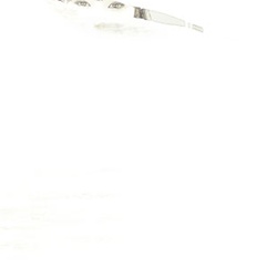 dailyPhoto23