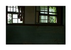 dailyPhoto6