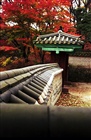 dailyPhoto8