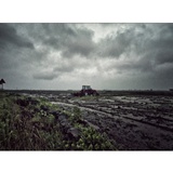 dailyPhoto10