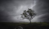 dailyPhoto34