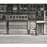 dailyPhoto24