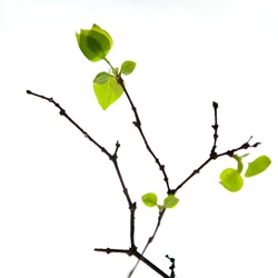 dailyPhoto36