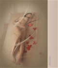 dailyPhoto1