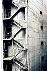 dailyPhoto40