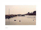 dailyPhoto38