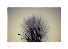 dailyPhoto30