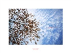 dailyPhoto5
