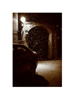 dailyPhoto38
