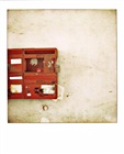 dailyPhoto10