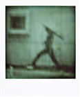 dailyPhoto24
