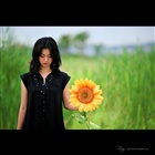 dailyPhoto31