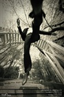 dailyPhoto38