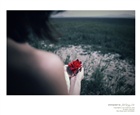 dailyPhoto22