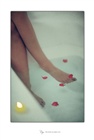 dailyPhoto40